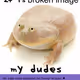 1154