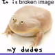 2411