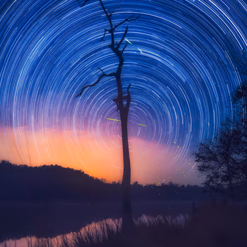 Stars & Cosmos