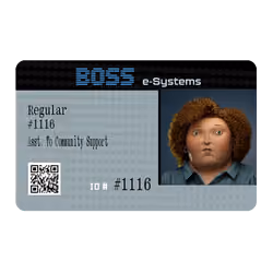 12.5 Ⓡ / week, Boss E-systems