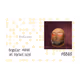 4976