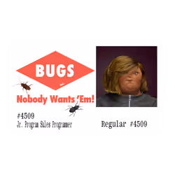 45 Ⓡ / week, Bugs Inc.