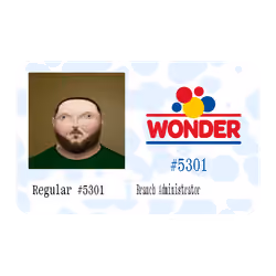43.17 Ⓡ / week, Wonder