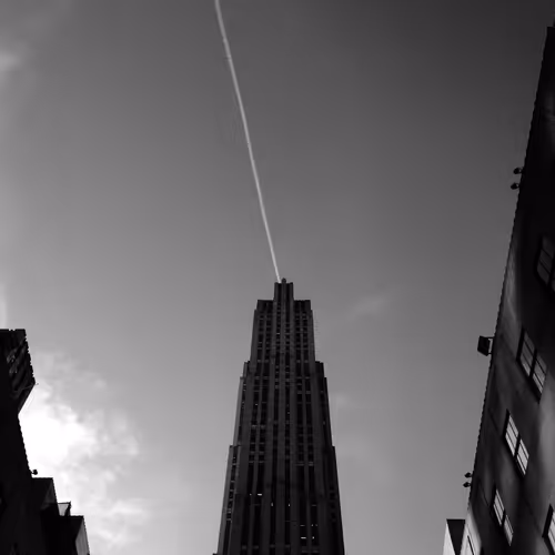 Nyc365