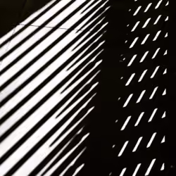 Shadowland
