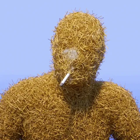 Chainsmokerswtf