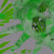 7700010013