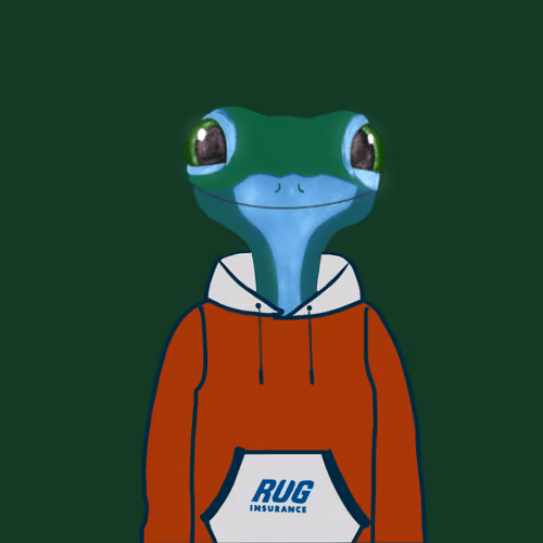 RUG INSURANCE #69