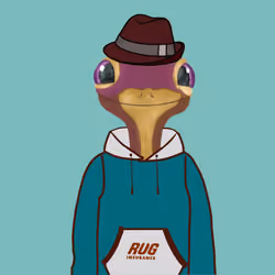 RUG INSURANCE #68