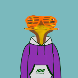 RUG INSURANCE #137