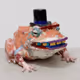 294