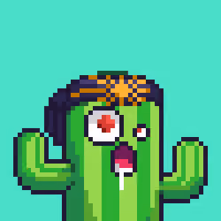 Cactus #1776