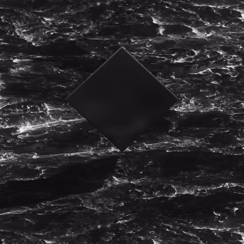 Item #300010010 Media