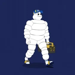 Michelin 3xplorer #132