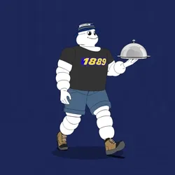 Michelin 3xplorer #1022