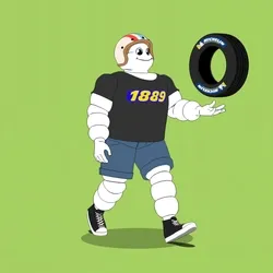 Michelin 3xplorer #822