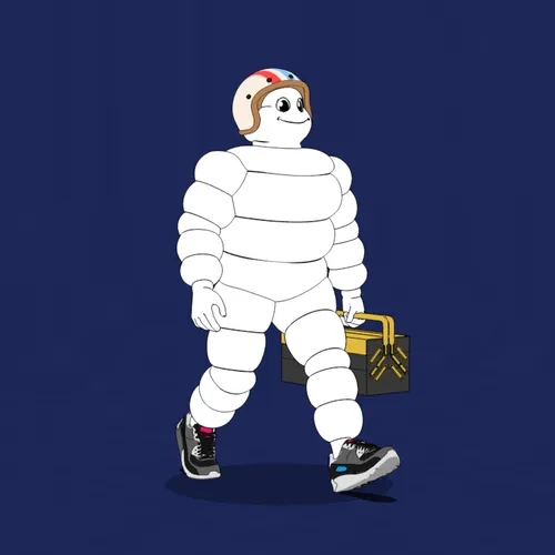 Michelin 3xplorer #2352