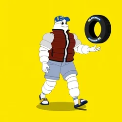 Michelin 3xplorer #1830