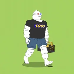 Michelin 3xplorer #27