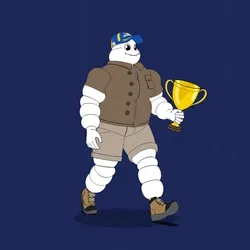 Michelin 3xplorer #206