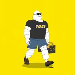 Michelin 3xplorer #2139