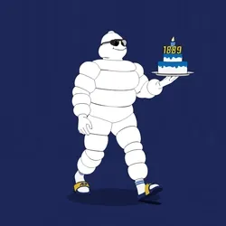 Michelin 3xplorer #443