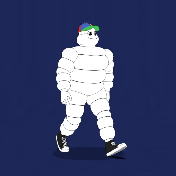 Michelin 3xplorer #2371