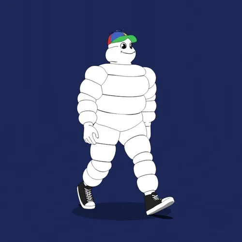 Michelin 3xplorer #2371