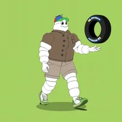 Michelin 3xplorer #1908