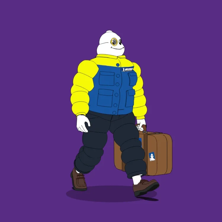Michelin 3xplorer #2365