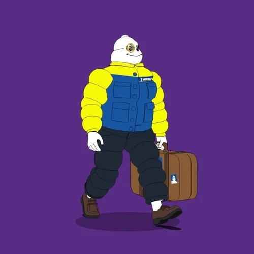 Michelin 3xplorer #2365