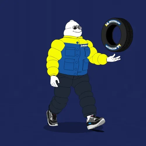 Michelin 3xplorer #2396