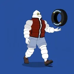 Michelin 3xplorer #735