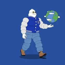 Michelin 3xplorer #1735