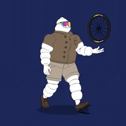 Michelin 3xplorer #1403