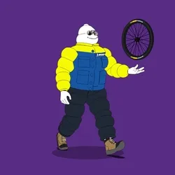 Michelin 3xplorer #260