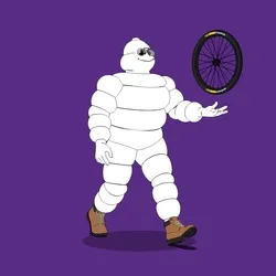 Michelin 3xplorer #1946