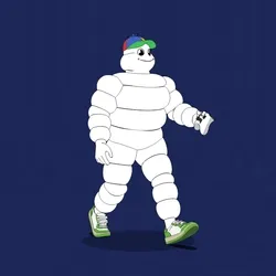 Michelin 3xplorer #817