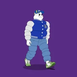 Michelin 3xplorer #1177