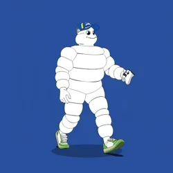 Michelin 3xplorer #689