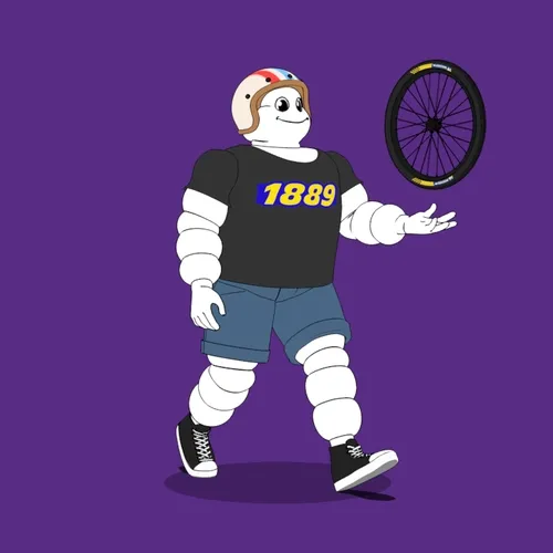 Michelin 3xplorer #320