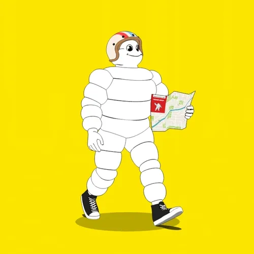 Michelin 3xplorer #841