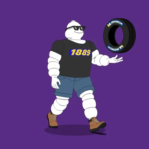 Michelin 3xplorer #717
