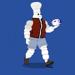 Michelin 3xplorer #1769