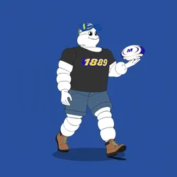 Michelin 3xplorer #740