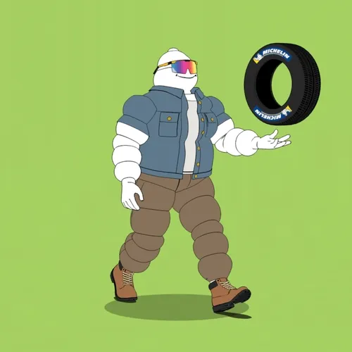 Michelin 3xplorer #884