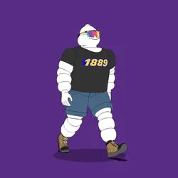 Michelin 3xplorer #901