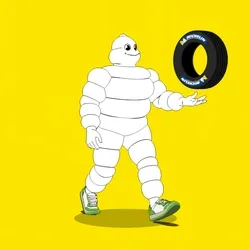 Michelin 3xplorer #1911