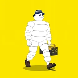Michelin 3xplorer #50