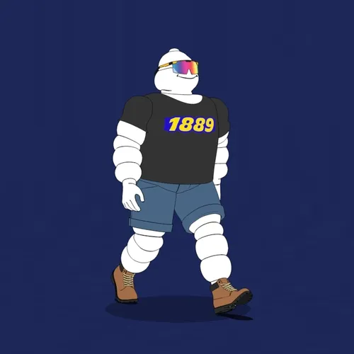Michelin 3xplorer #2374